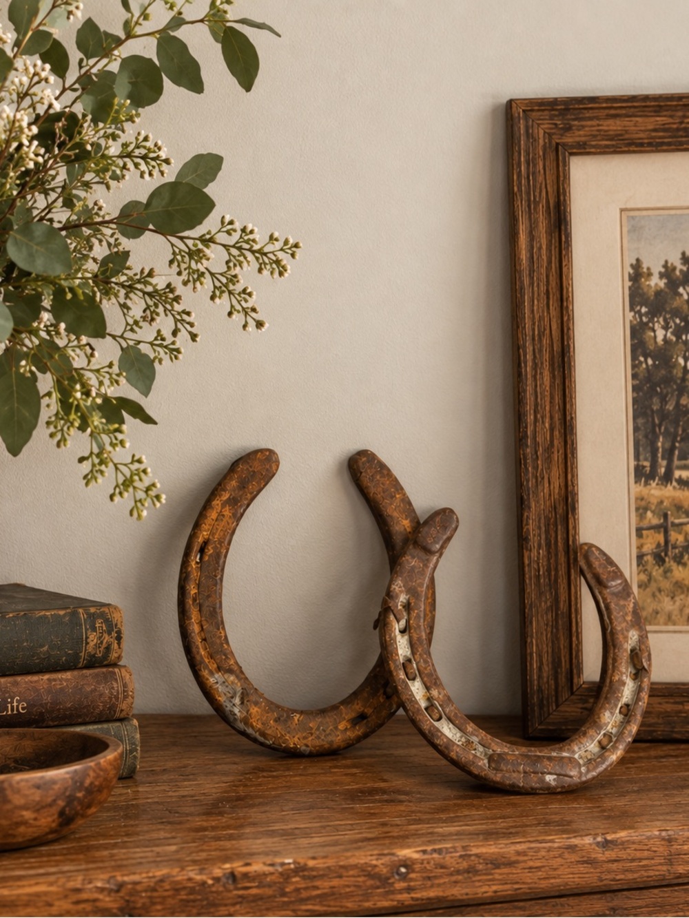 Vintage Distressed Brown Horseshoes